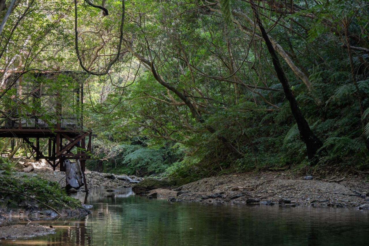 Treeful Treehouse Sustainable Resort Nago Buitenkant foto